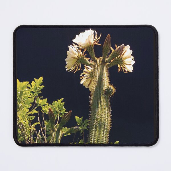 Item preview, Towering Cactus designed and sold by Jim Marjoram.