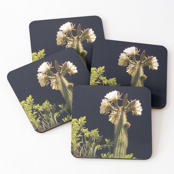 Item preview, Towering Cactus designed and sold by Jim Marjoram.