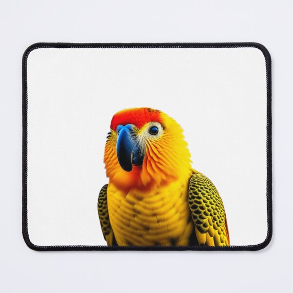 Item preview, Sun Conure, Sun Parakeet designed and sold by nicheteees.
