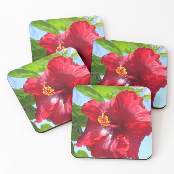 Item preview, High Bizcus designed and sold by Jim Marjoram.