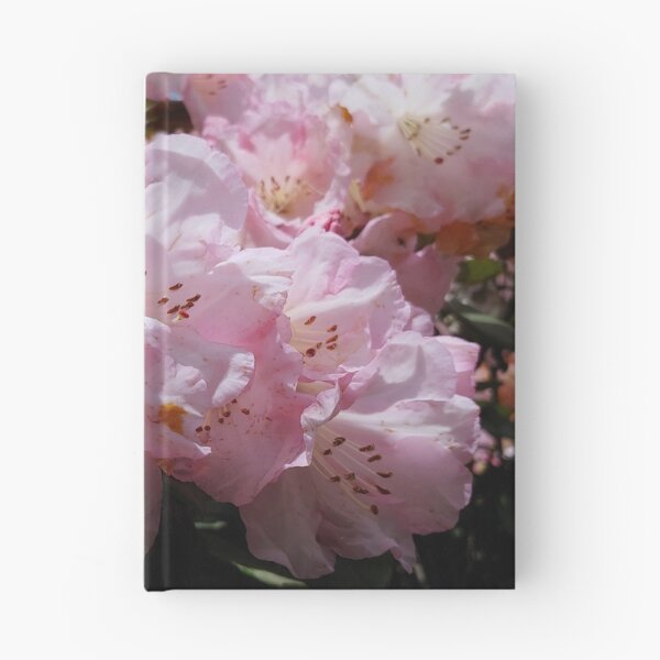 Item preview, Pinkizaleas designed and sold by Jim Marjoram.