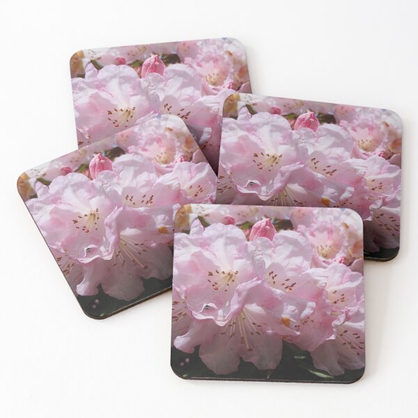 Item preview, Pinkizaleas designed and sold by Jim Marjoram.