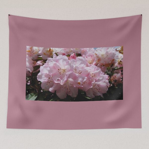 Item preview, Pinkizaleas designed and sold by Jim Marjoram.