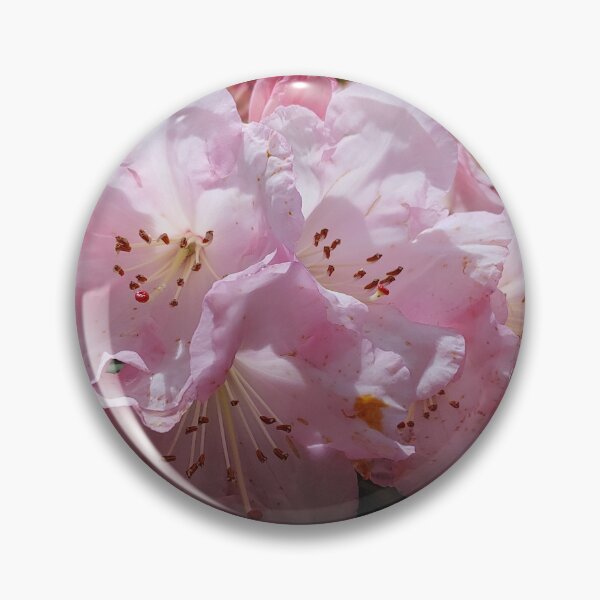 Item preview, Pinkizaleas designed and sold by Jim Marjoram.