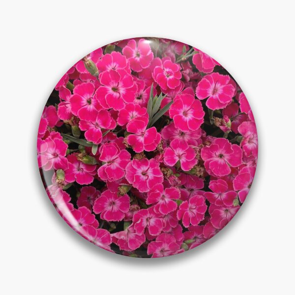 Item preview, Dianthus designed and sold by Lil-Ari.