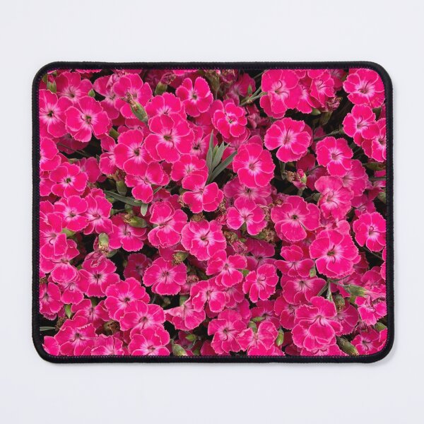 Item preview, Dianthus designed and sold by Lil-Ari.