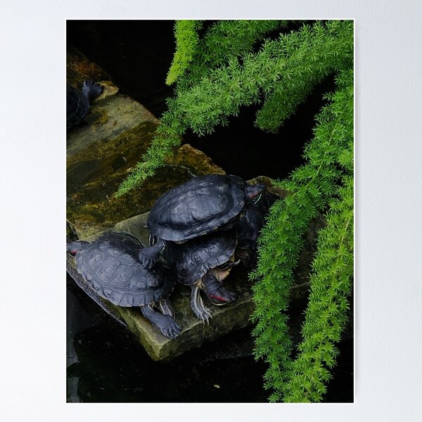 Item preview, Turtling around designed and sold by Lil-Ari.