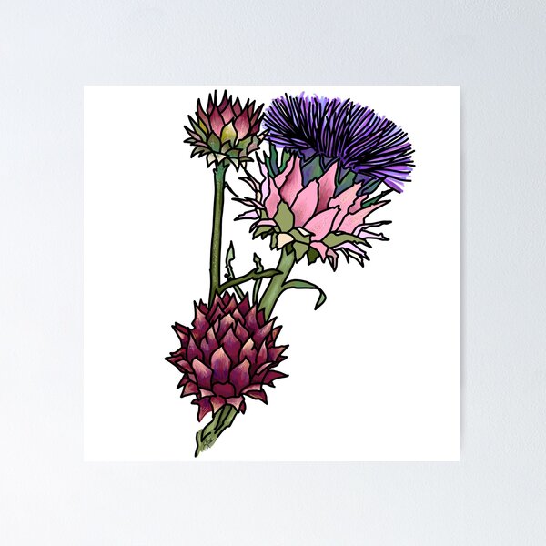 Item preview, Artichoke Thistle designed and sold by Sharilea.
