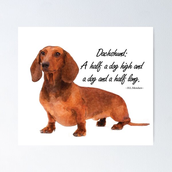 Item preview, Dachshund Humour designed and sold by igspence.