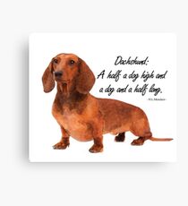 Dachshund Humour Canvas Print
