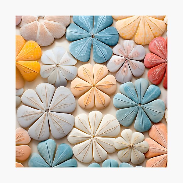 Item preview, Colorful sand dollar collage print designed and sold by dcrc.