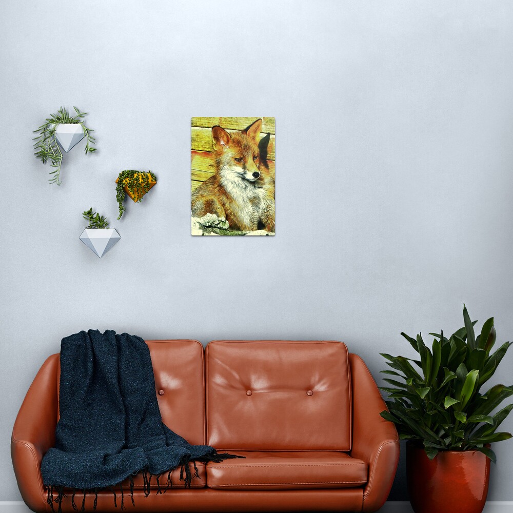 Portrait of an Urban Fox Metal Print