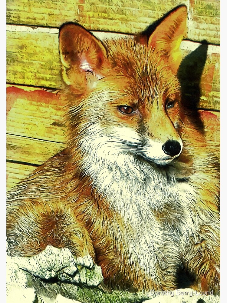 Portrait of an Urban Fox by ShannathShima