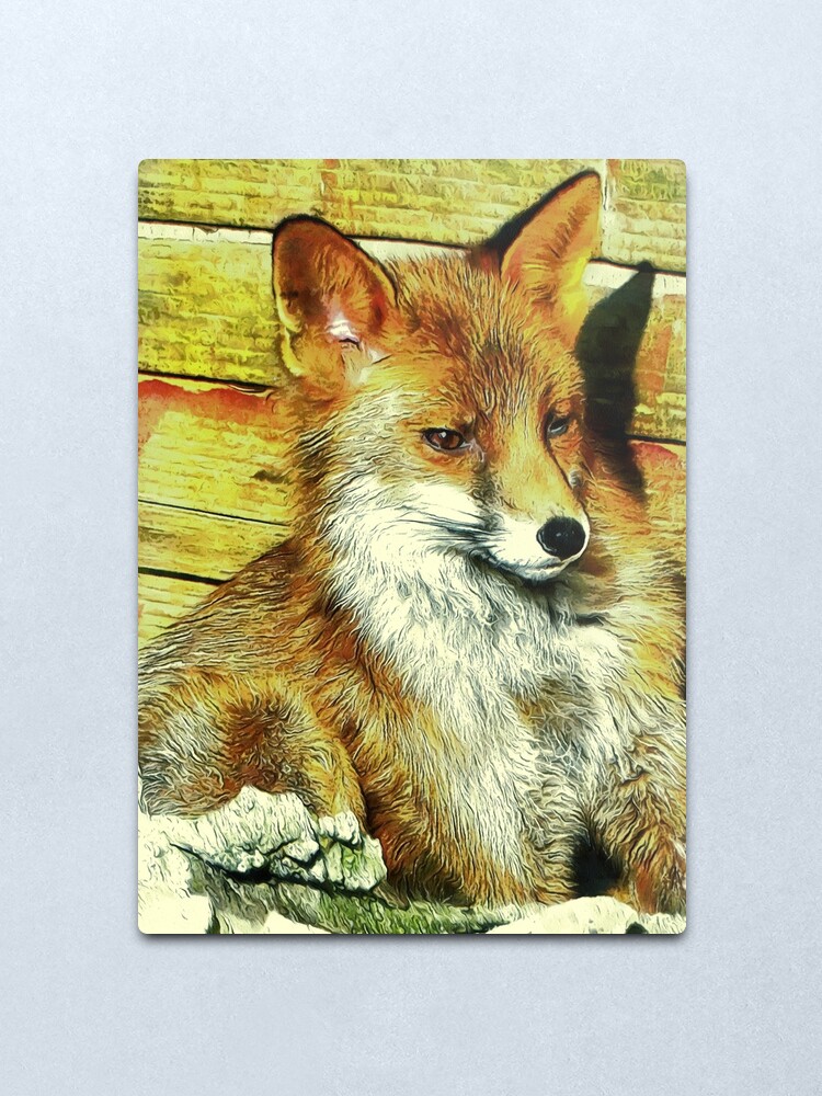 Alternate view of Portrait of an Urban Fox Metal Print