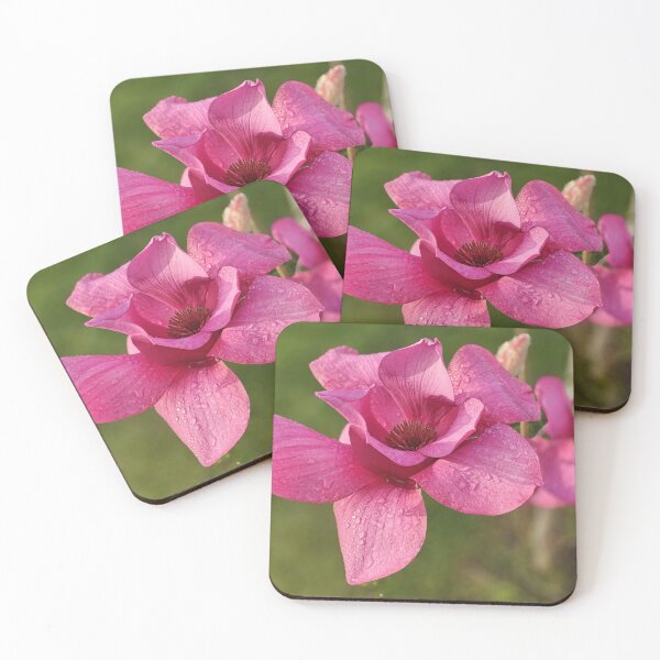 Item preview, Luscious Magnolia designed and sold by Jim Marjoram.