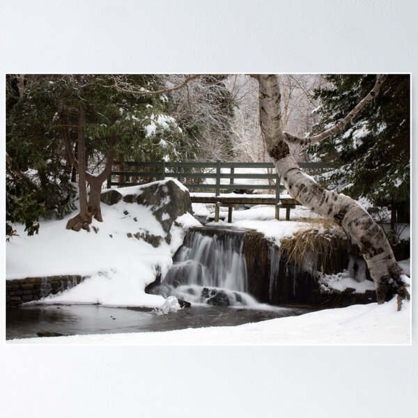 Item preview, Bowring Park designed and sold by Daphne Johnson.