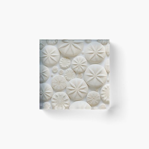 Item preview, white sand dollar collage print designed and sold by dcrc.