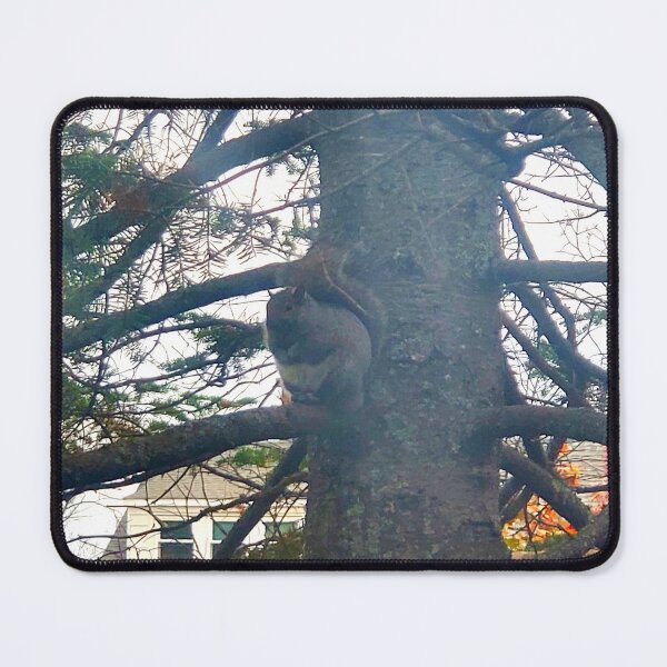 Item preview, Fat Squirrel designed and sold by TheGreatAngel.