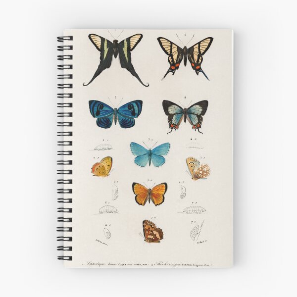 Item preview, Vintage Butterfly Chart designed and sold by SuziQPrayers427.