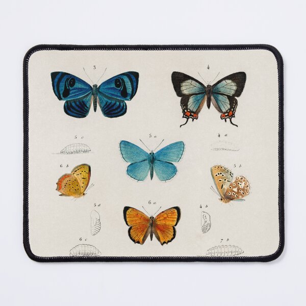 Item preview, Vintage Butterfly Chart designed and sold by SuziQPrayers427.