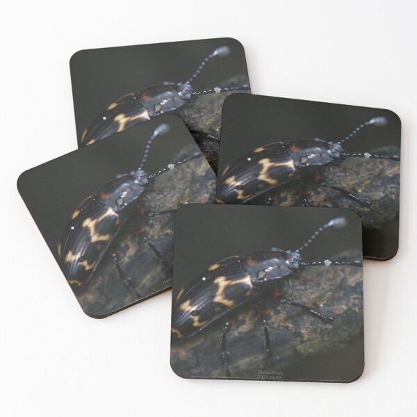 Item preview, Pleasing Fungus Beetle designed and sold by RanranBugs.