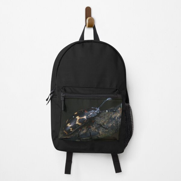 Item preview, Pleasing Fungus Beetle designed and sold by RanranBugs.