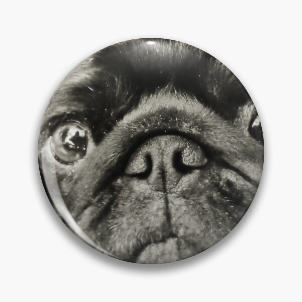 Item preview, High Art Lite - black pug dog designed and sold by SilentlyRob668.