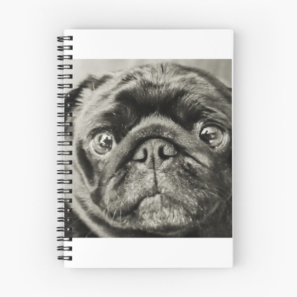 Item preview, High Art Lite - black pug dog designed and sold by SilentlyRob668.