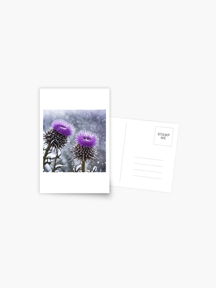 Thumbnail 1 of 2, Postcard, Thistles in the Snow designed and sold by LenCarol.