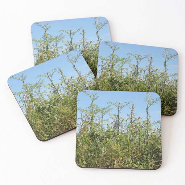 Item preview, Cornish hedge designed and sold by Photos-by-Eddie.