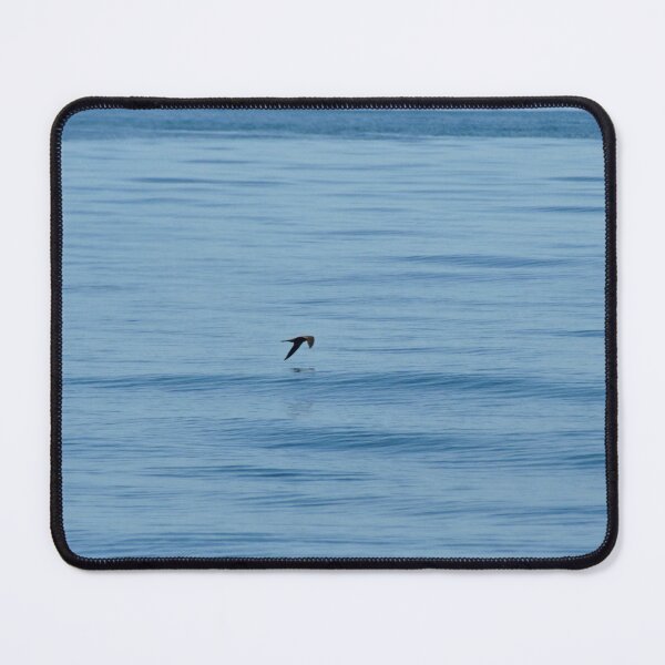 Item preview, A brown sea bird skimming over the ocean. designed and sold by EAnneH.