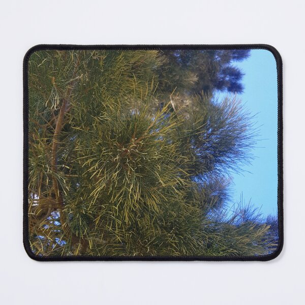 Item preview, Pine tree  designed and sold by Blissfully-MK.