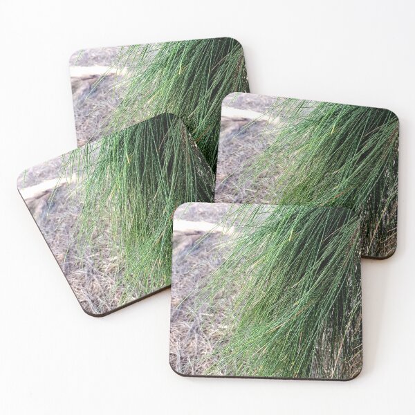 Item preview, Pine tree needles designed and sold by Blissfully-MK.
