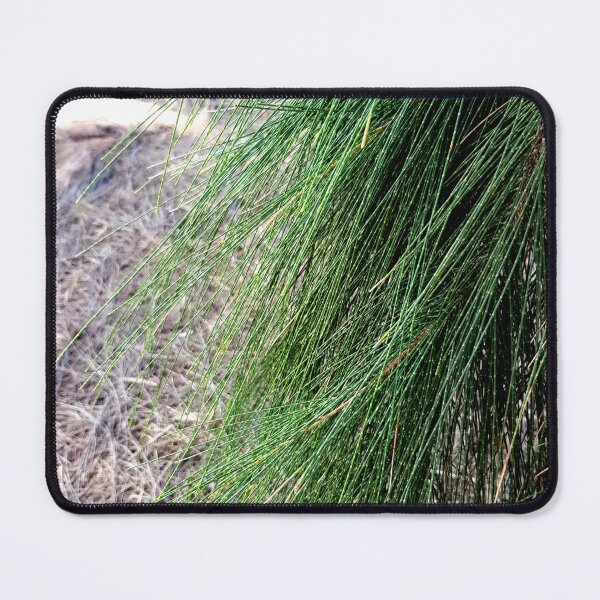 Item preview, Pine tree needles designed and sold by Blissfully-MK.