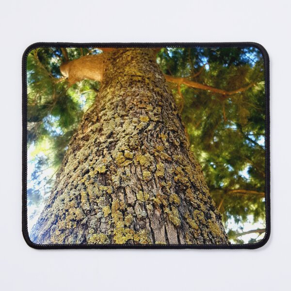 Item preview, Pine tree trunk designed and sold by Blissfully-MK.