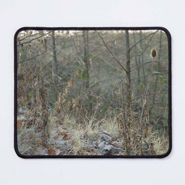 Item preview, Winter morning designed and sold by Photos-by-Eddie.