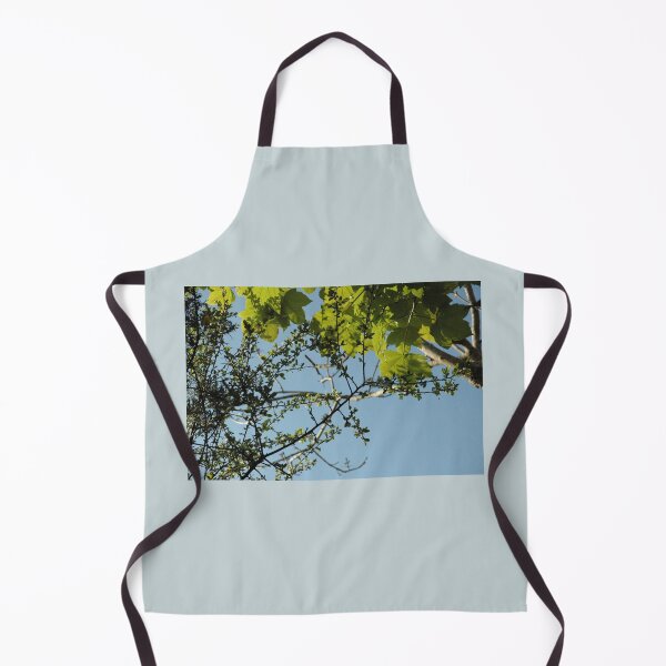 Item preview, Looking up through the leaves designed and sold by Photos-by-Eddie.