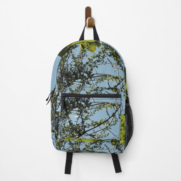 Item preview, Looking up through the leaves designed and sold by Photos-by-Eddie.