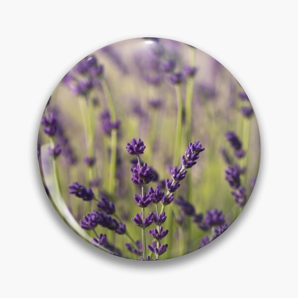Item preview, Lavender designed and sold by Catrinann.