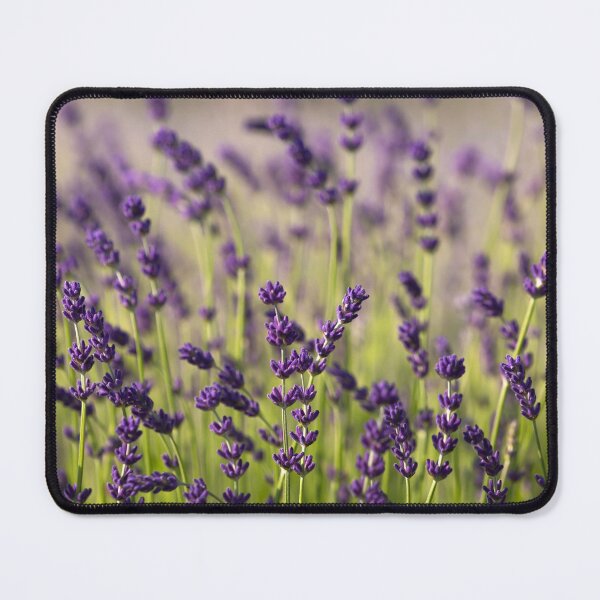 Item preview, Lavender designed and sold by Catrinann.