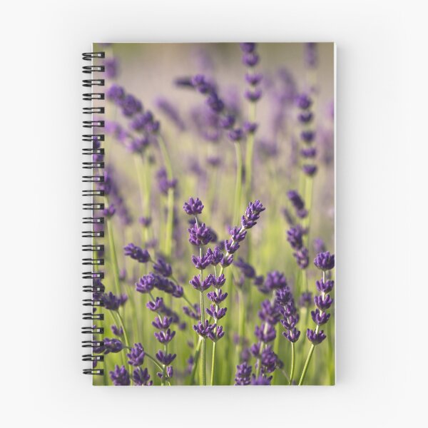 Item preview, Lavender designed and sold by Catrinann.
