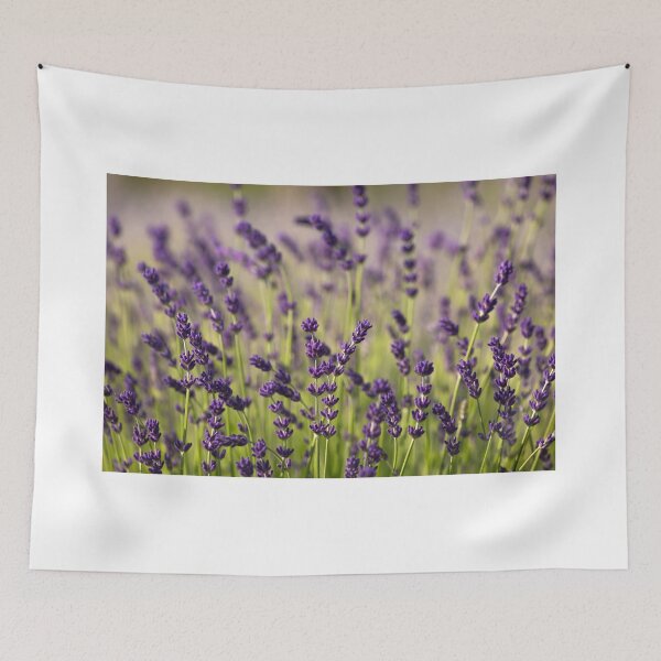 Item preview, Lavender designed and sold by Catrinann.