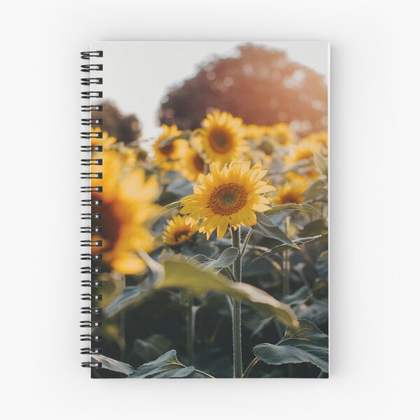 Item preview, photography Nature sunflowe  designed and sold by Pareshkumar.