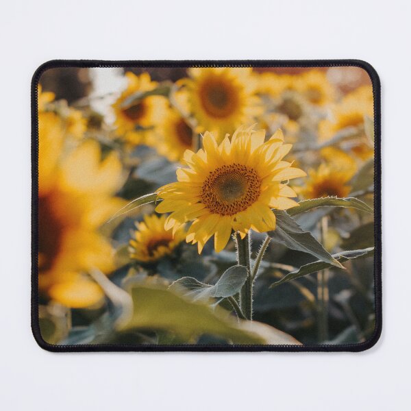 Item preview, photography Nature sunflowe  designed and sold by Pareshkumar.