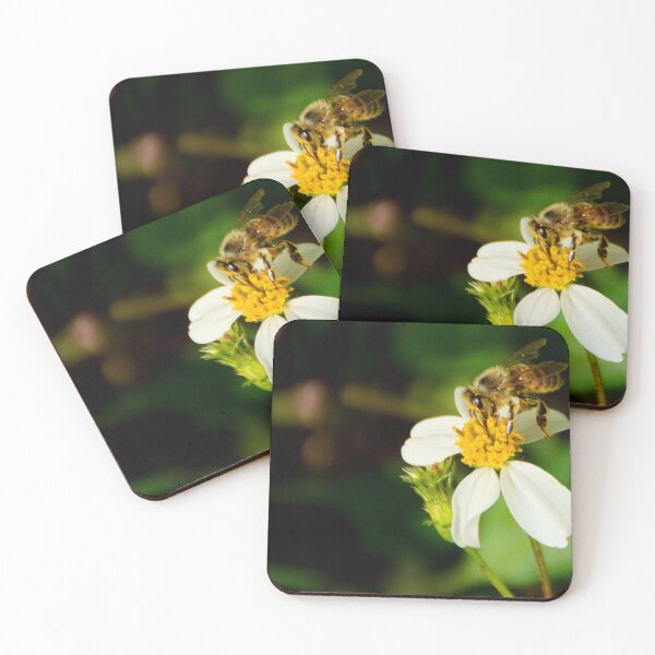 Item preview, Bee And Spanish Needle Flower designed and sold by MercerImages.
