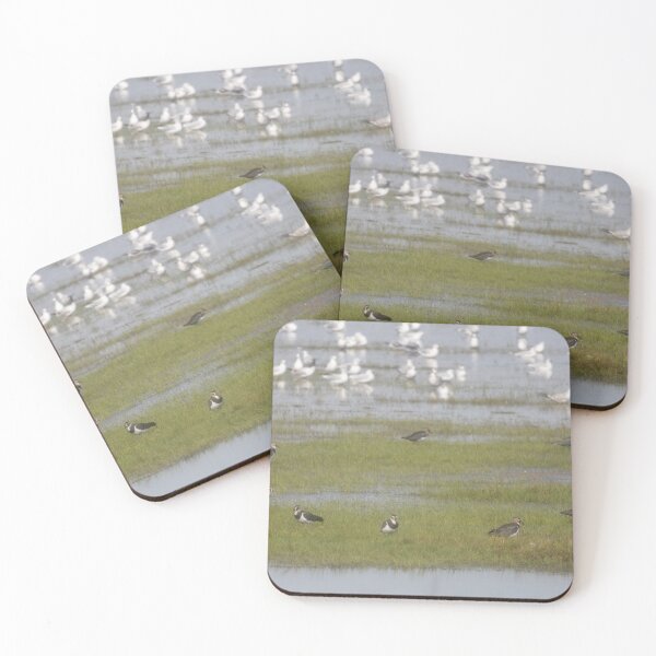 Item preview, Tuits and Gulls designed and sold by Calidris Fotografie Steffi & Ben Köppler.