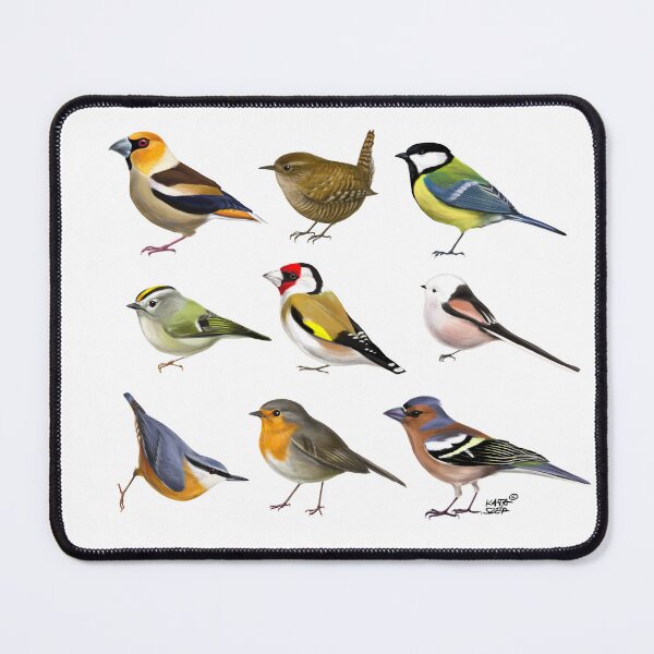 Item preview, Year of the Bird II. designed and sold by kataszep.