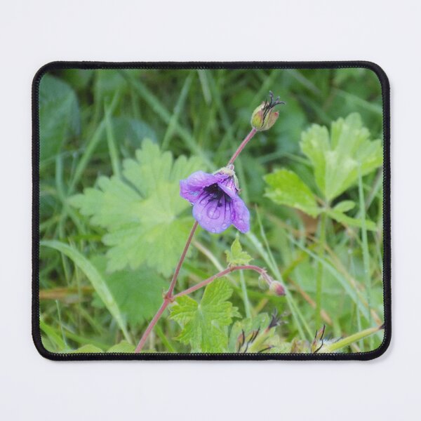 Item preview, Purple geranium designed and sold by Photos-by-Eddie.