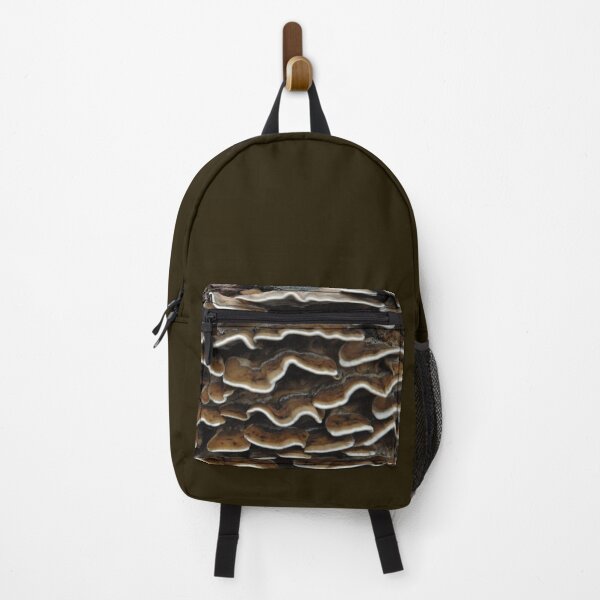 Item preview, Turkey-tail fungus designed and sold by Photos-by-Eddie.