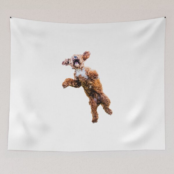 Item preview, Mad Cockapoo 2 designed and sold by Paul Thompson Photography.